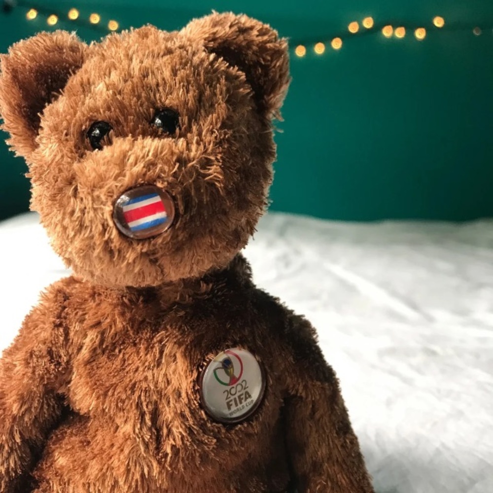 TY The Beanie Babies Collection Champion